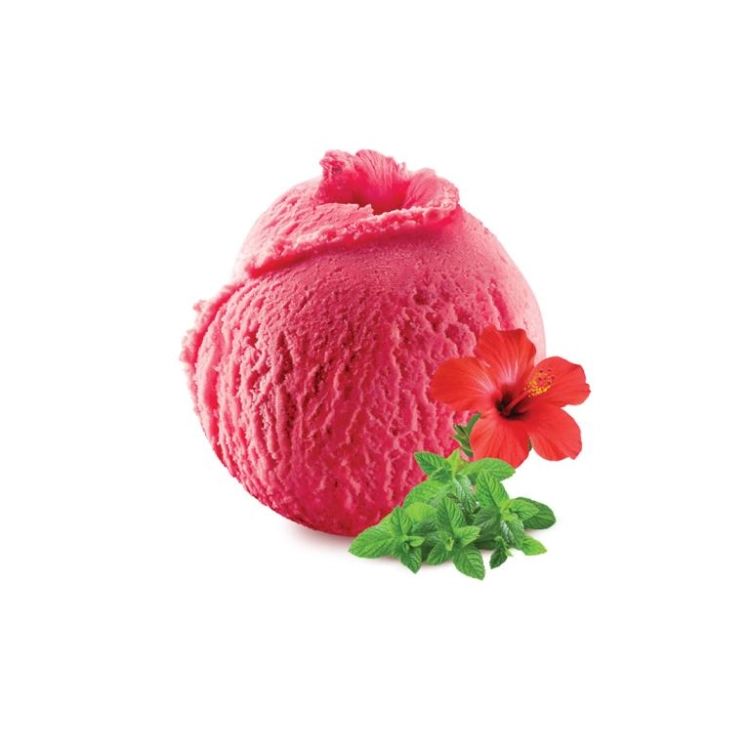 Helado Hibiscus menta (500ml)