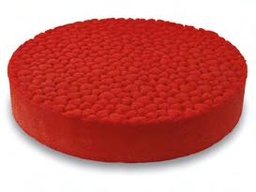 [Past] Tarta Fraisier